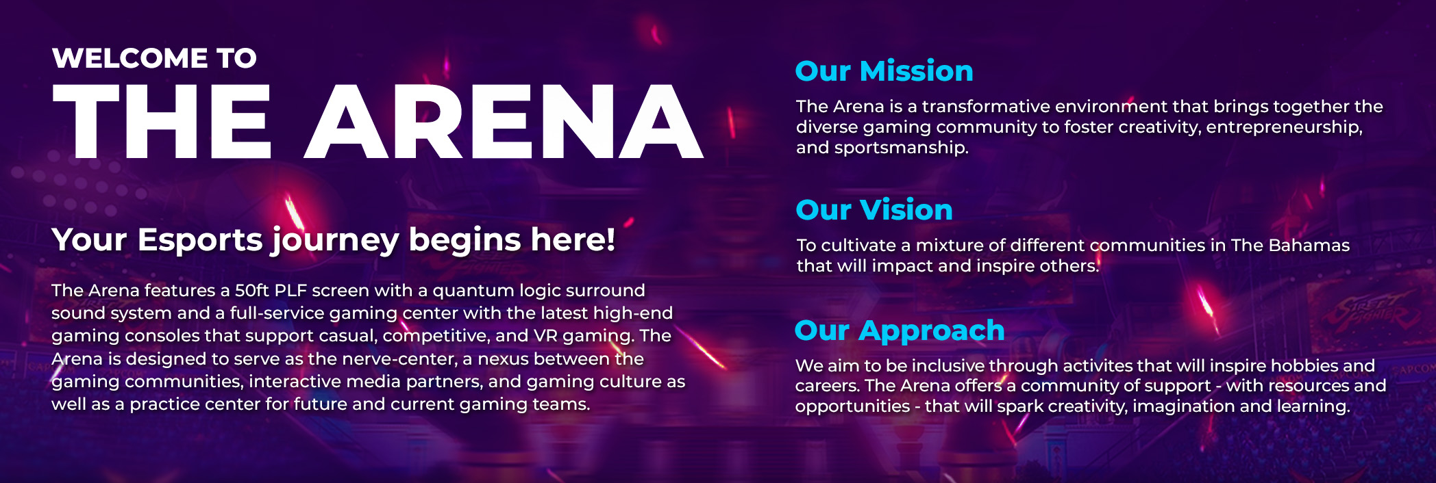 THE ARENA (1)